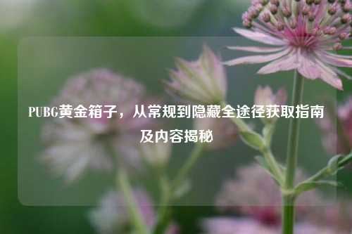 PUBG黄金箱子,从常规到隐藏全途径获取指南及内容揭秘