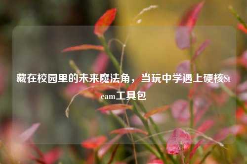 藏在校园里的未来魔法角,当玩中学遇上硬核Steam工具包