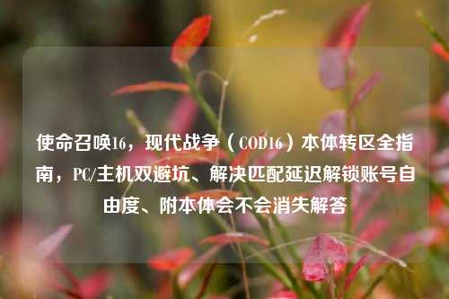 使命召唤16，现代战争（COD16）本体转区全指南，PC/主机双避坑、解决匹配延迟解锁账号自由度、附本体会不会消失解答