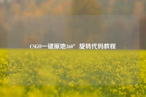 CSGO一键原地360°旋转代码教程