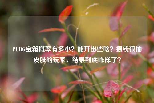 PUBG宝箱概率有多小？能开出些啥？攒钱狠抽皮肤的玩家，结果到底咋样了？