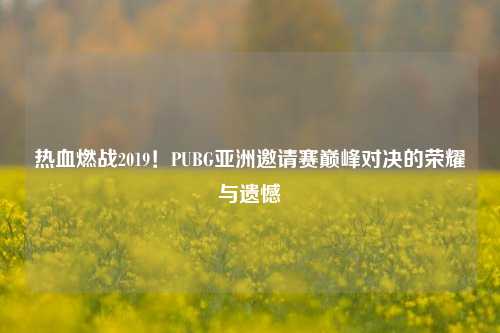 热血燃战2019！PUBG亚洲邀请赛巅峰对决的荣耀与遗憾