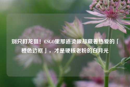 别只盯龙狙!CSGO里那道烫眼却藏着热爱的「橙色边框」,才是硬核老粉的白月光