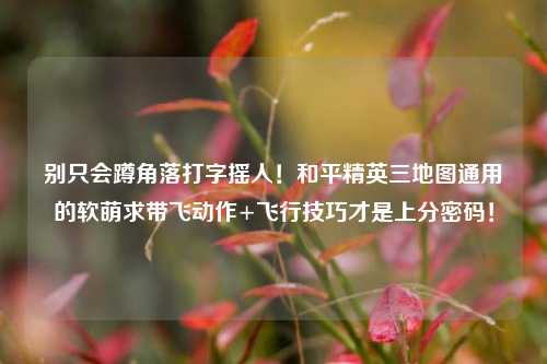 别只会蹲角落打字摇人!和平精英三地图通用的软萌求带飞动作+飞行技巧才是上分密码!