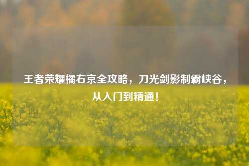 王者荣耀橘右京全攻略,刀光剑影制霸峡谷,从入门到精通!