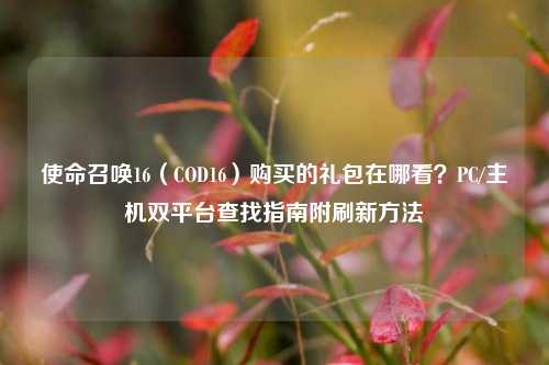 使命召唤16（COD16）购买的礼包在哪看？PC/主机双平台查找指南附刷新方法