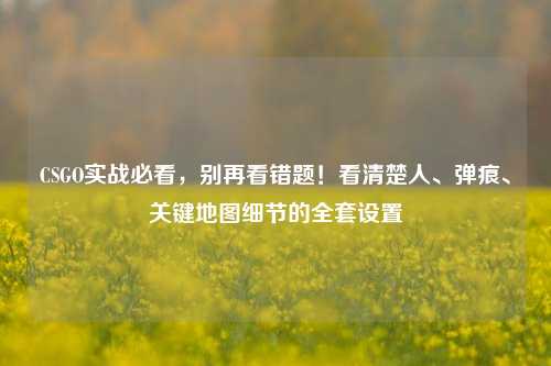 CSGO实战必看,别再看错题!看清楚人、弹痕、关键地图细节的全套设置
