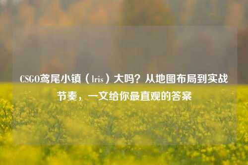 CSGO鸢尾小镇(lris)大吗?从地图布局到实战节奏,一文给你最直观的答案