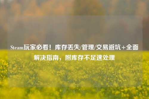 Steam玩家必看！库存丢失/管理/交易避坑+全面解决指南，附库存不足速处理
