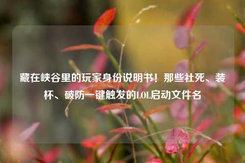 藏在峡谷里的玩家身份说明书！那些社死、装杯、破防一键触发的LOL启动文件名