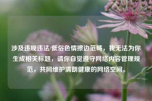 涉及违规违法/低俗色情擦边范畴,我无法为你生成相关标题,请你自觉遵守网络内容管理规范,共同维护清朗健康的网络空间。
