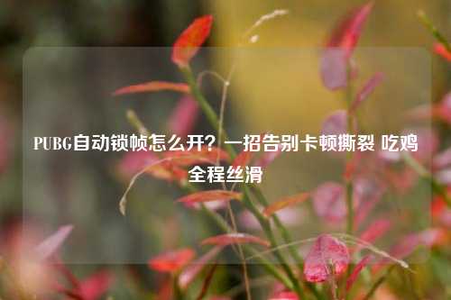 PUBG自动锁帧怎么开?一招告别卡顿撕裂 吃鸡全程丝滑