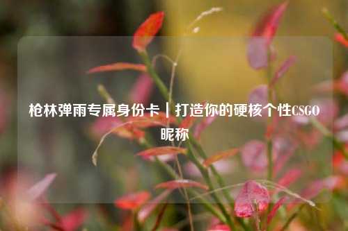 枪林弹雨专属身份卡|打造你的硬核个性CSGO昵称
