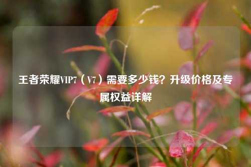 王者荣耀VIP7（V7）需要多少钱？升级价格及专属权益详解