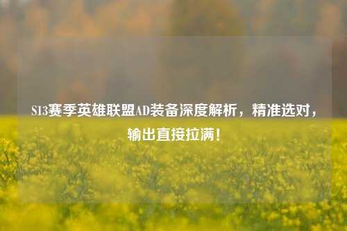 S13赛季英雄联盟AD装备深度解析,精准选对,输出直接拉满!