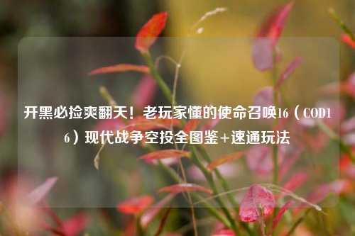 开黑必捡爽翻天!老玩家懂的使命召唤16(COD16)现代战争空投全图鉴+速通玩法