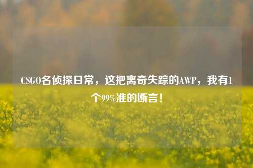 CSGO名侦探日常,这把离奇失踪的AWP,我有1个99%准的断言!