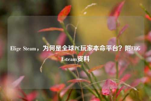 Elige Steam,为何是全球PC玩家本命平台?附EliGEsteam资料