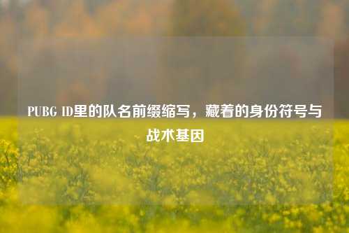 PUBG ID里的队名前缀缩写,藏着的身份符号与战术基因