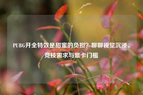 PUBG开全特效是甜蜜的负担?聊聊视觉沉浸、竞技需求与显卡门槛