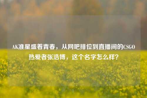 AK准星盛着青春,从网吧排位到直播间的CSGO热爱者张浩博,这个名字怎么样?