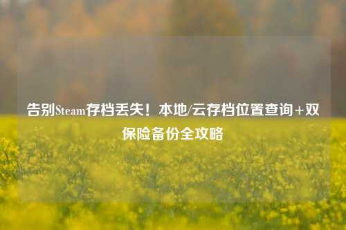 告别Steam存档丢失!本地/云存档位置查询+双保险备份全攻略