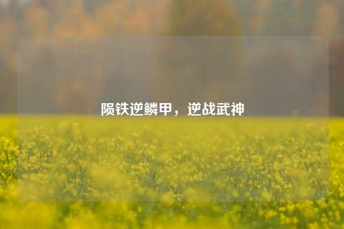 陨铁逆鳞甲，逆战武神