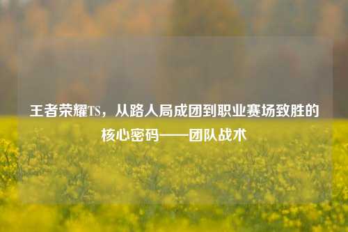 王者荣耀TS，从路人局成团到职业赛场致胜的核心密码——团队战术