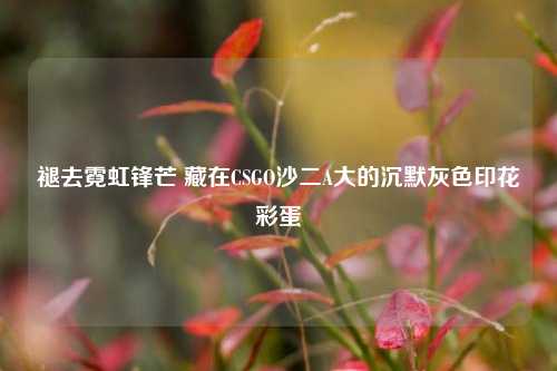 褪去霓虹锋芒 藏在CSGO沙二A大的沉默灰色印花彩蛋