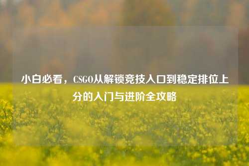 小白必看,CSGO从解锁竞技入口到稳定排位上分的入门与进阶全攻略