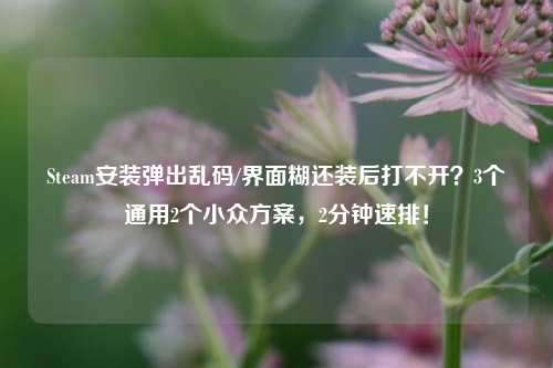 Steam安装弹出乱码/界面糊还装后打不开?3个通用2个小众方案,2分钟速排!