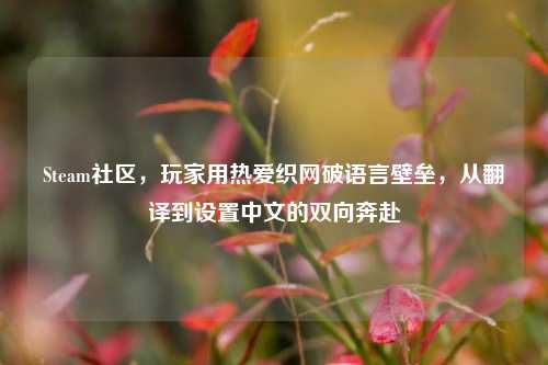 Steam社区,玩家用热爱织网破语言壁垒,从翻译到设置中文的双向奔赴