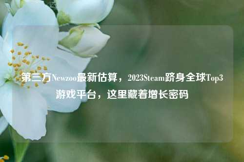 第三方Newzoo最新估算,2023Steam跻身全球Top3游戏平台,这里藏着增长密码