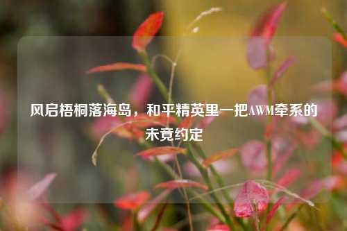 风启梧桐落海岛,和平精英里一把AWM牵系的未竟约定