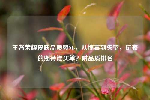 王者荣耀皮肤品质频NG,从惊喜到失望,玩家的期待谁买单?附品质排名