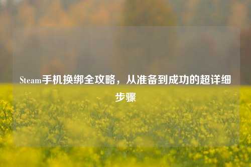 Steam手机换绑全攻略,从准备到成功的超详细步骤