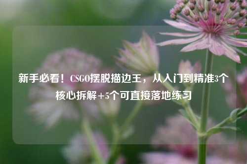 新手必看!CSGO摆脱描边王,从入门到精准3个核心拆解+5个可直接落地练习