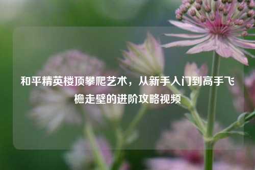和平精英楼顶攀爬艺术,从新手入门到高手飞檐走壁的进阶攻略视频