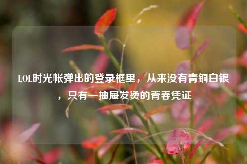 LOL时光帐弹出的登录框里,从来没有青铜白银,只有一抽屉发烫的青春凭证