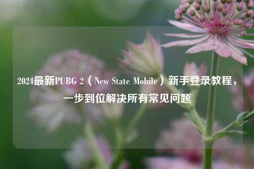 2024最新PUBG 2(New State Mobile)新手登录教程,一步到位解决所有常见问题