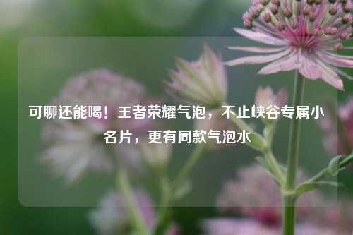可聊还能喝!王者荣耀气泡,不止峡谷专属小名片,更有同款气泡水