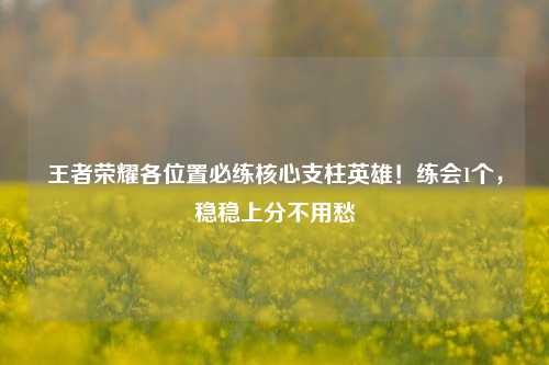 王者荣耀各位置必练核心支柱英雄!练会1个,稳稳上分不用愁