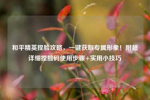 和平精英捏脸攻略,一键获取专属形象!附超详细捏脸码使用步骤+实用小技巧