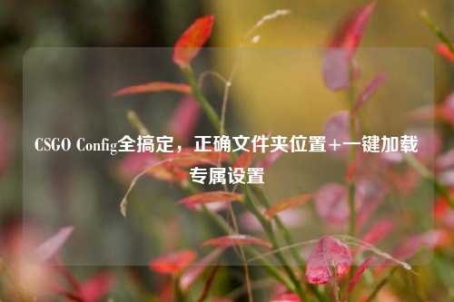 CSGO Config全搞定,正确文件夹位置+一键加载专属设置