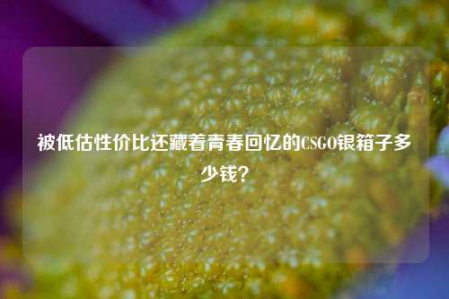 被低估性价比还藏着青春回忆的CSGO银箱子多少钱?