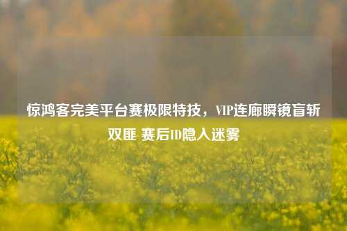 惊鸿客完美平台赛极限特技,VIP连廊瞬镜盲斩双匪 赛后ID隐入迷雾