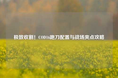 极致收割!COD16跑刀配置与战场爽点攻略