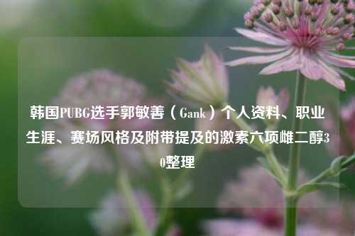 韩国PUBG选手郭敏善(Gank)个人资料、职业生涯、赛场风格及附带提及的激素六项雌二醇30整理
