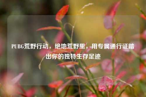 PUBG荒野行动,绝地荒野里,用专属通行证踏出你的独特生存足迹