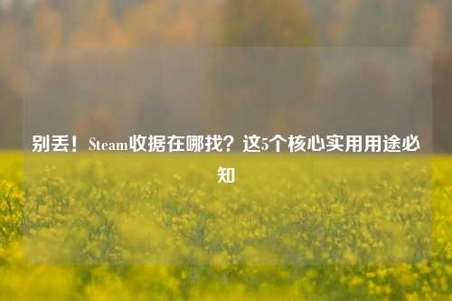 别丢!Steam收据在哪找?这5个核心实用用途必知
